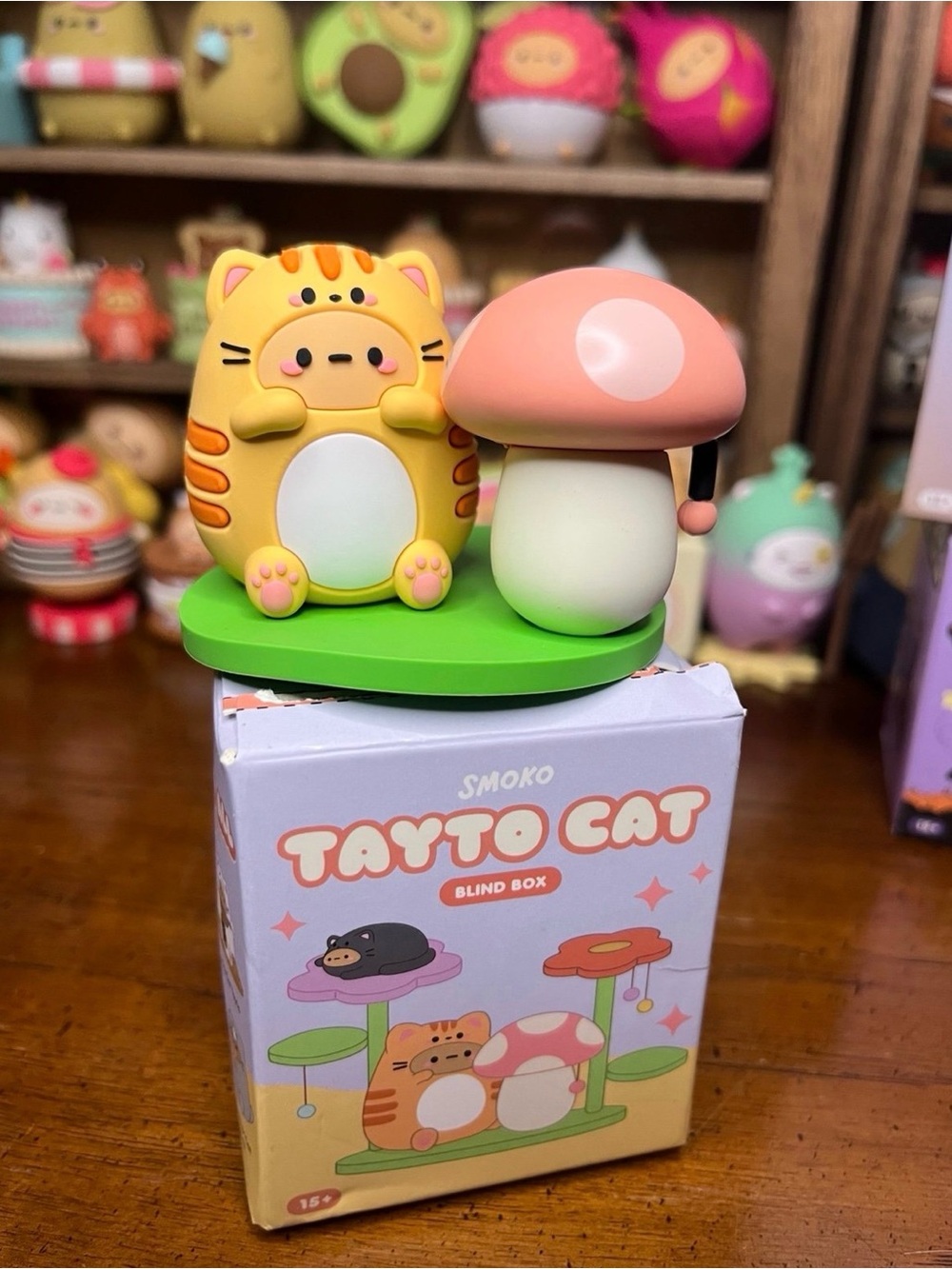 Smoko Tayto Cat- Tabby Cat